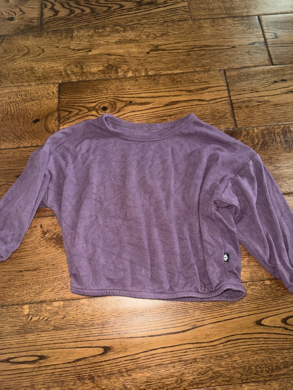 Kyte Baby Bamboo Long Sleeve Top In Currant Size 6/12 Month